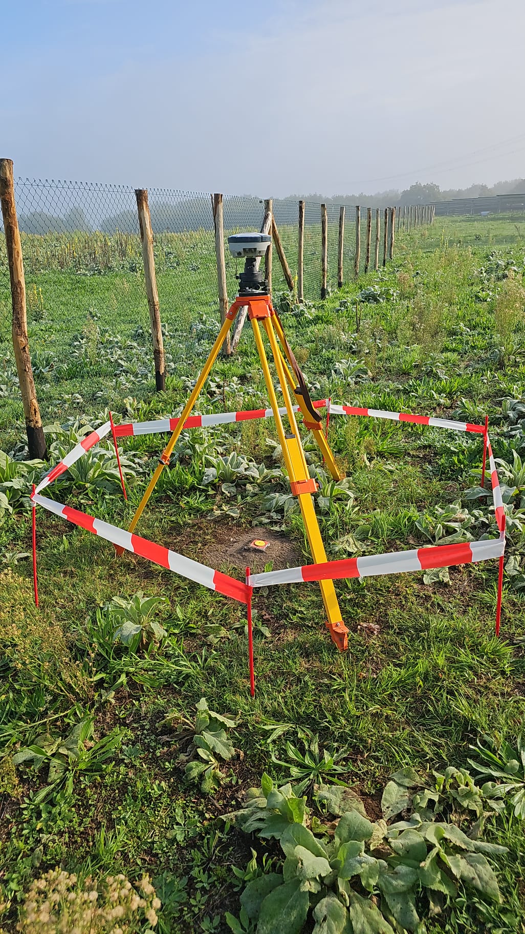 Image 12 Description